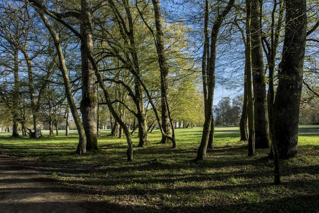 Chateau Des Briottieres Champigné Dış mekan fotoğraf