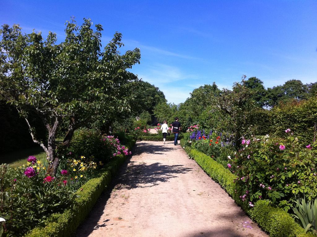 Chateau Des Briottieres Champigné Dış mekan fotoğraf
